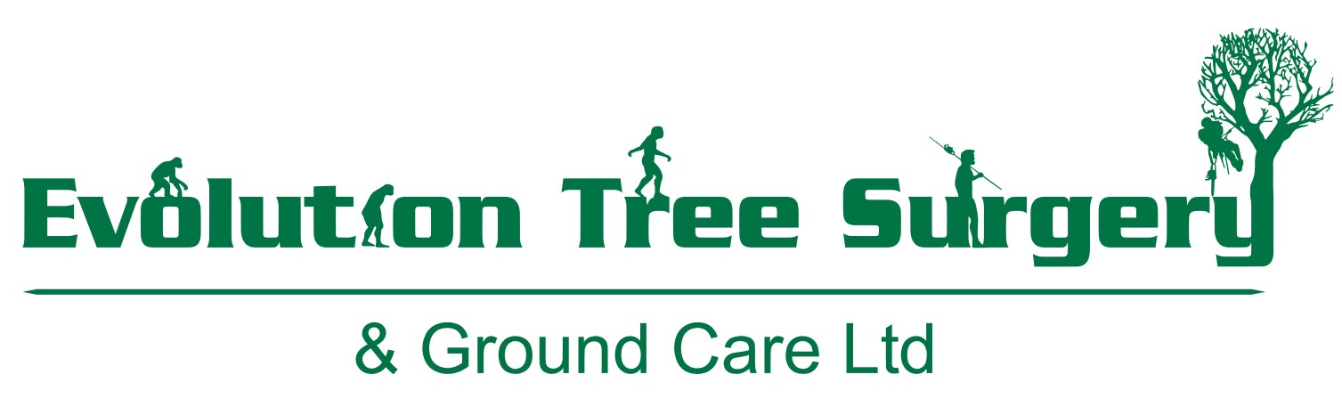 Evolution Tree Surgery Ltd