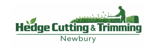 Hedge Cutting & Trimming Newbury